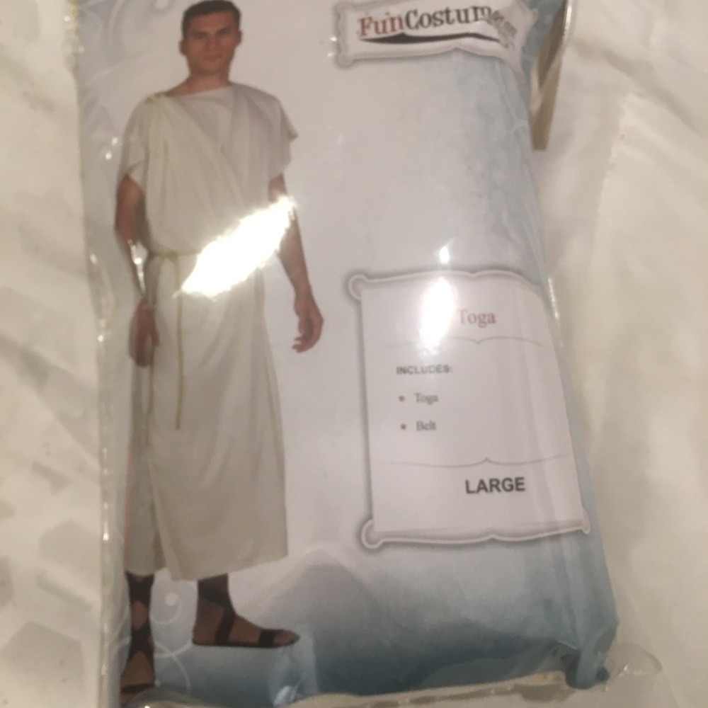COPY - Men Toga Costume Large